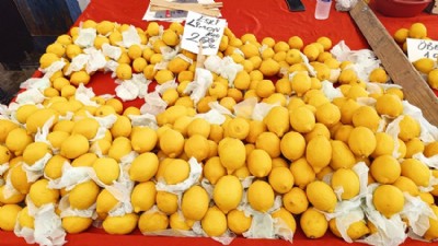 Limon Fiyatları Cep Yakıyor