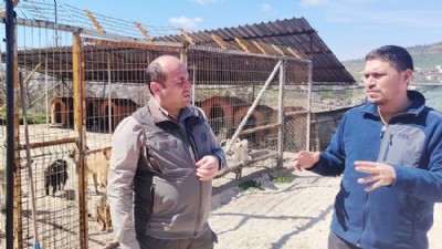 Çanakkale’de Hayvan Bakımevleri Mercek Altında