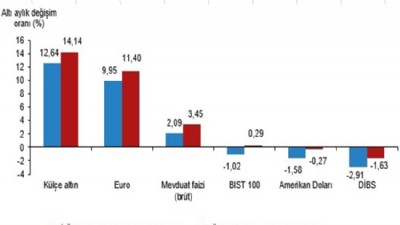 Aylık en yüksek reel getiri BIST 100 endeksinde oldu