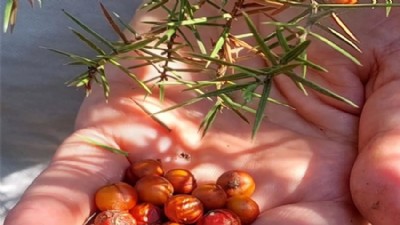 Bin Yıllık Sabrın Adı 