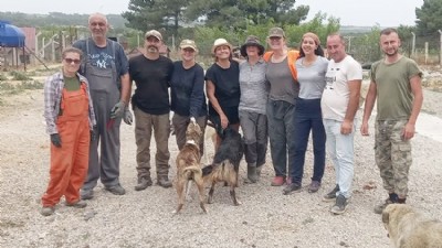 Kuzey Ege’de Bir Umut Hikâyesi, Hayvan koruma gönüllüleri oluşumundan dernekleşmeye