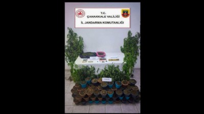 Jandarmadan Uyuşturucu Operasyonu
