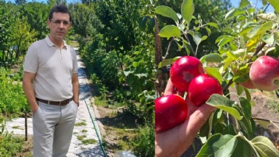 Emekle Yeşeren Bahçe Görenleri Hayran Bırakıyor