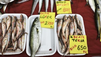 Denizlerin Prensi Lüfer Rekor Fiyata Ulaştı