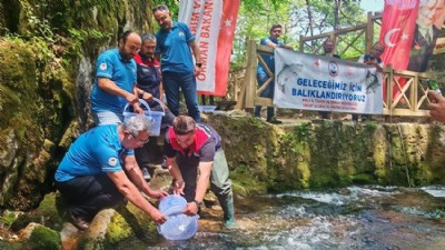 Ayazma Deresi'ne 50 Bin Alabalık Salındı