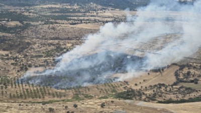 Ezine'deki Yangın 1 Saatte Söndürüldü