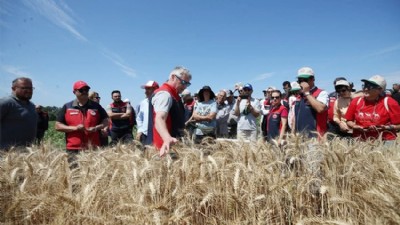 Deneme Amaçlı Ekilen 22 Yerli Tohumun Hasadı Yapıldı