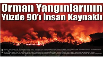 Orman Yangınlarının Yüzde 90’ı İnsan Kaynaklı