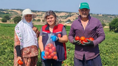 Hasat Öncesi Pestisit Denetimleri