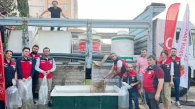 Çanakkale’de Baraj ve Göllere 2 Milyon Yavru Balık Bırakıldı