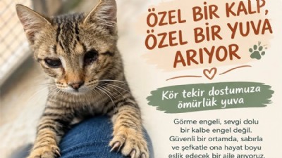 Engelli Minik Yürek İçin Yuva Çağrısı