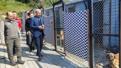 Çanakkale’de Sokak Hayvanları Merkezlerine Denetim