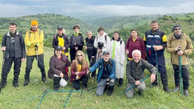 Tabanvay Köyü Orman Yürüyüşü: Doğa Tutkunlarına Unutulmaz Anılar