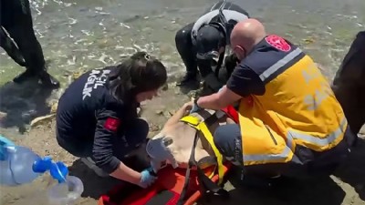 Denizde Kaybolan 17 Yaşındaki Genç Hayatını Kaybetti