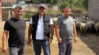 Genç Üretici Küçükbaş Hayvancılıkta Örnek Oluyor