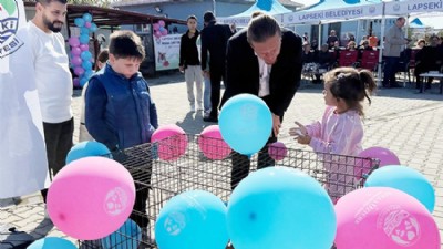 Lapseki Belediyesi’nden Sokak Hayvanları İçin Sahiplendirme Daveti