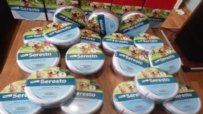 Eceabat Hayvan Severler Derneği’nden Kene ve Pireye Karşı Önlem