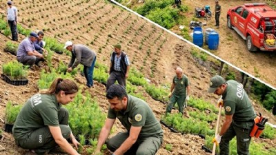 “Ormanları korumak sadece yangınla savaşmaktan ibaret değil”