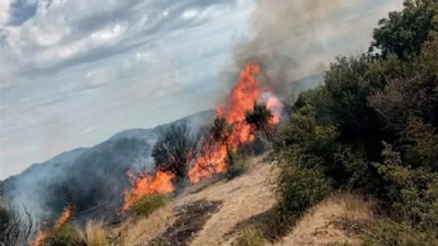 Ayvacık’ta Makilik Alanda Çıkan Yangın Söndürüldü
