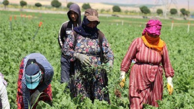 “Çiftçi Yılgın, Üretim Durma Noktasında”
